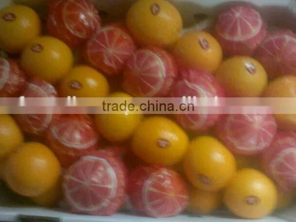 FRESH STYLE Lemon and Navel / Valencia Oranges in Egypt photo-5