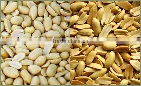 Shandong New Crop Blanched Peanut Kernels photo-2