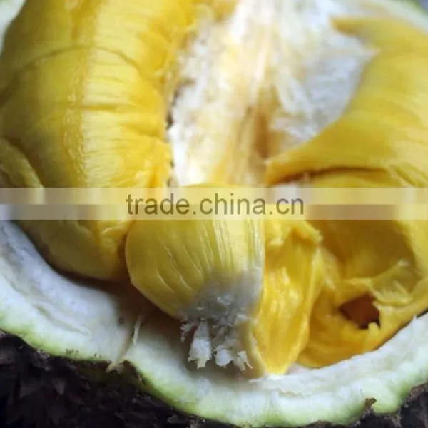Frozen Mornthong Durian With Seed photo-2