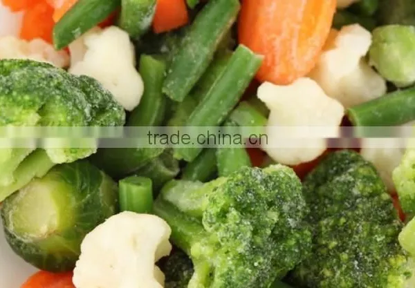 IQF Broccoli, Frozen Vegetables, IQF Vegetables photo-4