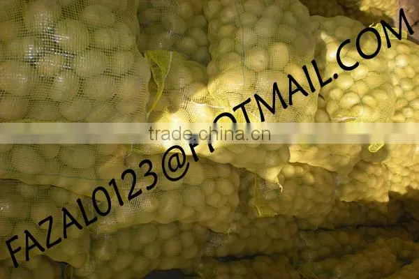 BANGLADESHI HIGH QUALITY FRESH GRANOLA POTATO AND DIAMOND POTATO FROM EXPORT TRADE ASSOCIATE WITH CHEAP PRICE photo-5