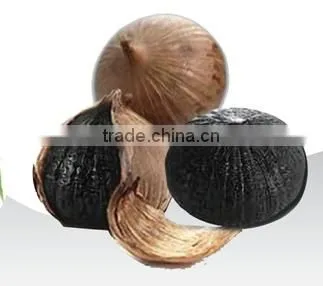 Natural Black Garlic photo-2
