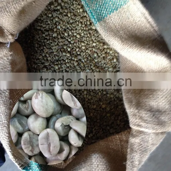 Robusta Type Green Coffee Beans,new Crop,washed,polished Grade AA 18 photo-5