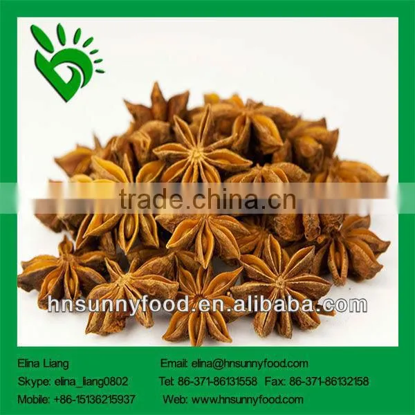 2013 Chinese Star Aniseed