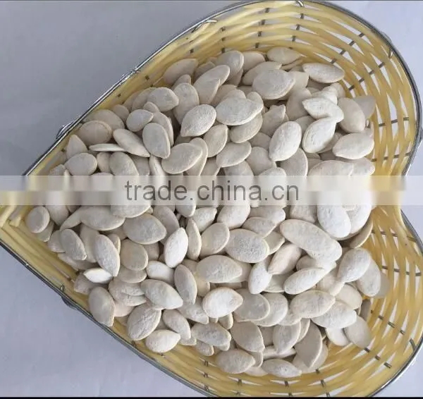 Heilongjiang Good Quality of Raw Snow Pumpkin Seed Factory Sale to Iran Market photo-3