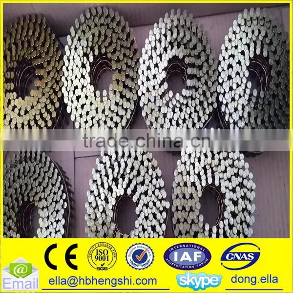 Industry Use Cheap Stainless Steel Coil Nail photo-2
