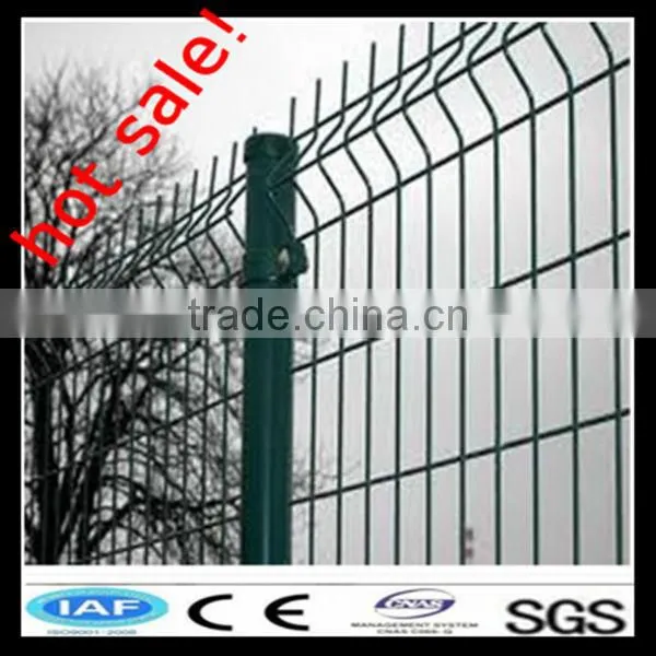 High Quality Iron Fence Products of China(Certification: CE,ISO,SGS) photo-3