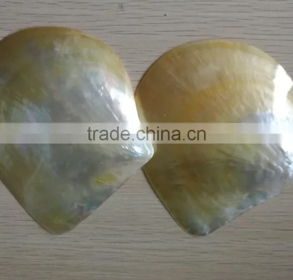 Wholesale Polished White Yellow Mother of Pearl Raw Shells photo-3