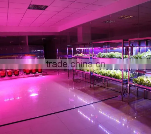 Mars-Hydro Led Grow Light Bar Strips Indoor Plant Led Grow Light photo-4