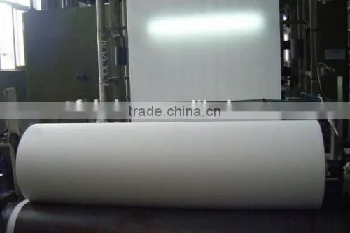 Non-woven Polyester Spunbonded photo-4