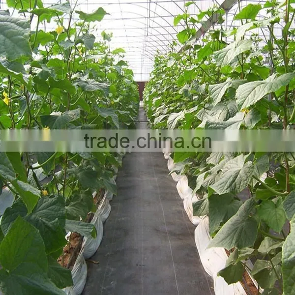 Breathable Fabric Ground Cover Sheet photo-6