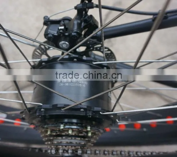 2016 Best Seller Electric Bike Big Power 48V 750W Electric Fat Bicycle photo-5