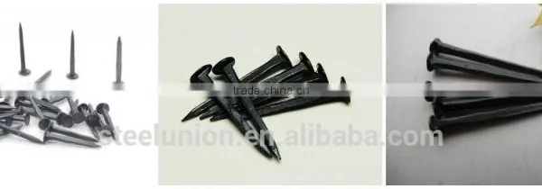 Shoe Tacks Product/shoe Tacks Nails/Linyi Nails photo-6