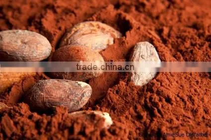 Alkalized Cocoa Powder photo-4