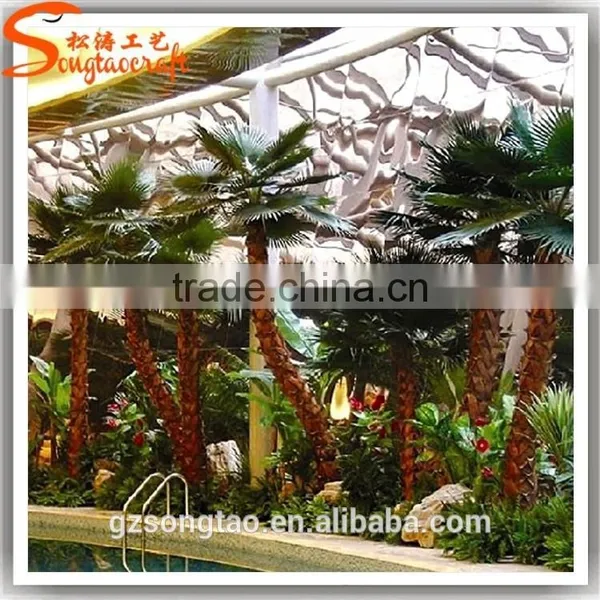 Preserved and Replica Trees Plam Data Tree photo-5