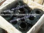 ANSI, DIN, BS, JIS, EN, UNI Standard Flanges