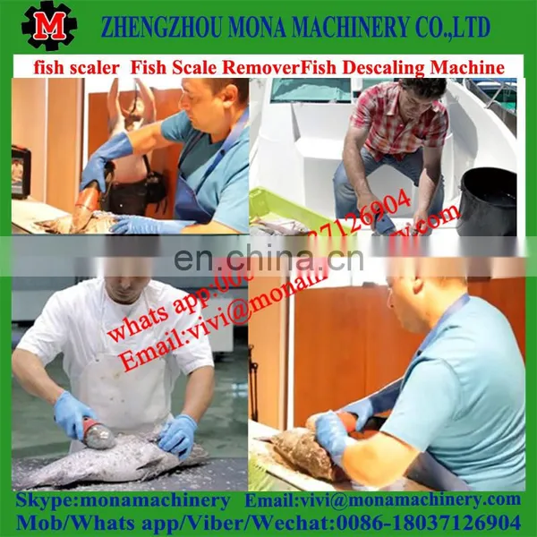 Small Fish Scaler Machine/home Use Fish Scale Removing Machine photo-5