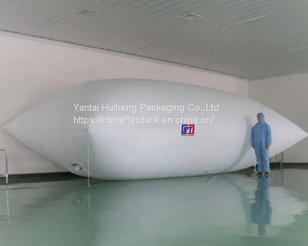 Cheaper Price for Flexitank/ Flexibag /Flexi Tank/Flexi Bag Manufacturer With COA photo-2