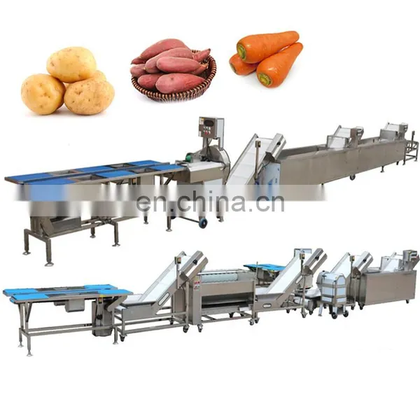 Date Washing Line Saudi Arabia Dates Cleaning Equipment Jujube Processing Sorting Machine photo-5