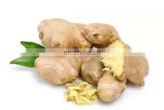 Ginger Drying Machine photo-3