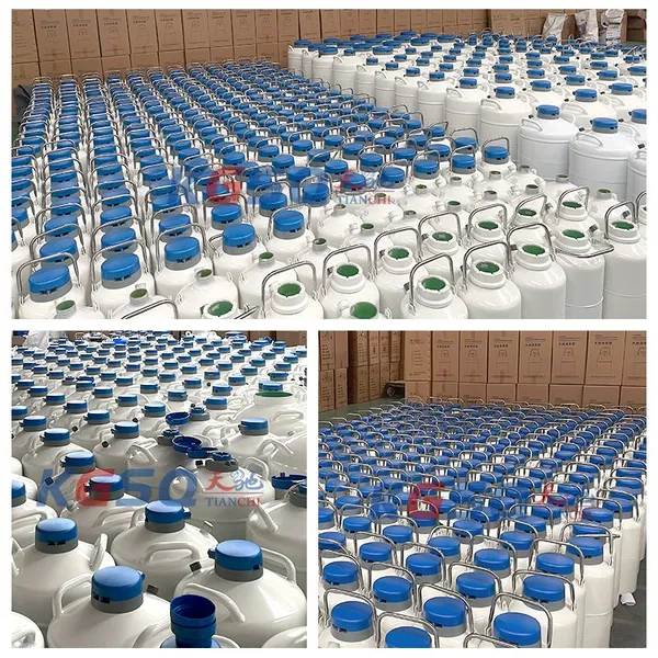 The Democratic Republic Of The Congo Liquid Nitrogen Container Cryo Canister Cold Chain Logistics photo-5