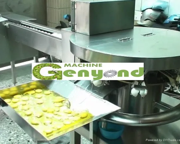 Pasteurized Egg Liquid Processing Line, Pasteurized Egg Yolk and White Production photo-5