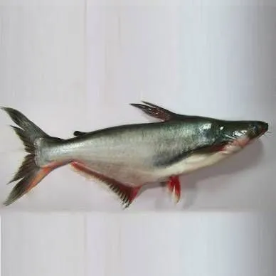 Full Automatic Canned Fish Processing Line Production Line Canned Tuna Sardine Trout Anchovy Fish Line