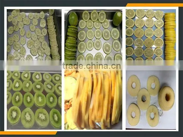 Leader Kiwi Slicer Machine With CE&ISO photo-6