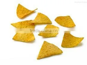 New Machine Crispy Nacho Corn Chips Production Line photo-5