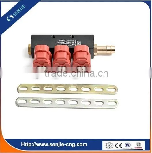 Automobile Spare Parts 4cyl Injector Rail photo-3