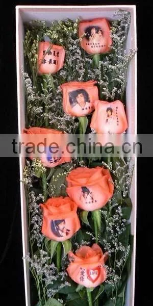 Affordable Digital Flower Printer photo-2