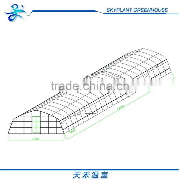 Single-span Greenhouse for Vegetables, Plastic Flim Greenhouse, Low Cost photo-3