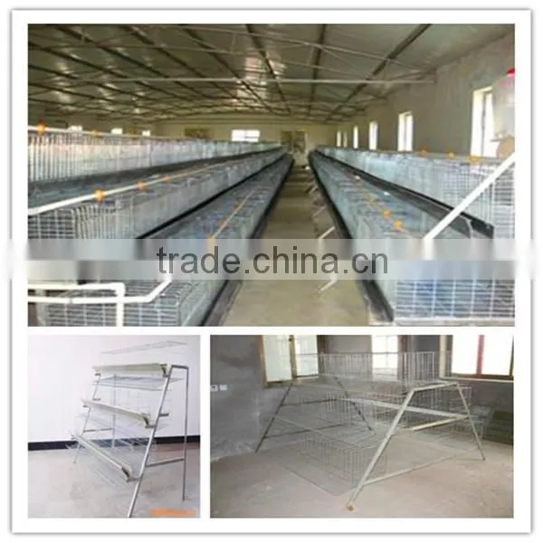 Economic Broiler Chicken Cage
