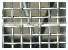 Galvanized Square Wire Mesh