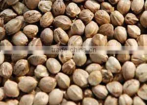 Hempseeds,bird Feed