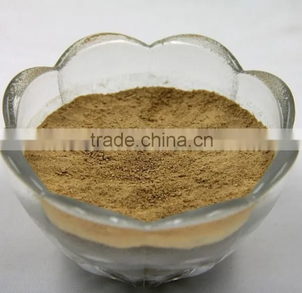 Pure Natural Shitake Mushroom Powder / Shitake Mushroom Extract / Polysaccharides photo-3