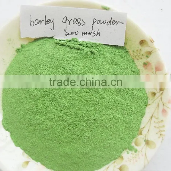 Barley Powder photo-5