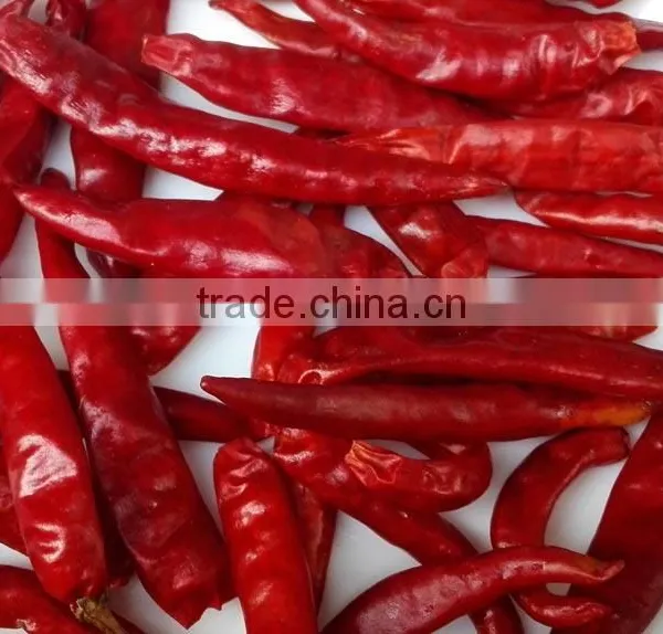 Chaotian Chilli