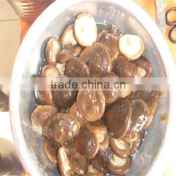 Canned Shiitake Mushrooms Dried Shiitake Mushroom Mushroom for Sale