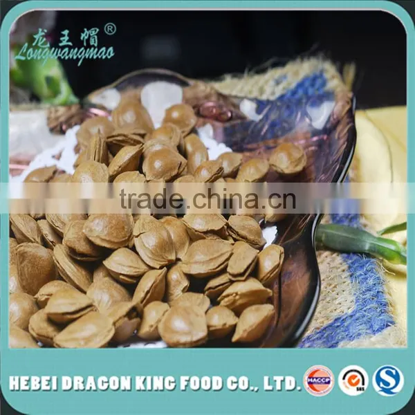 Roasted Salt Opening Apricot Pit/ Sweet Apricot Kernel for Festival Gift or Leisure