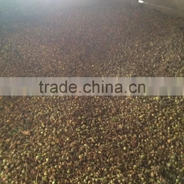 WHOLE SALE BLACK CARDAMOM FOR BANGLADESH MARKET photo-6