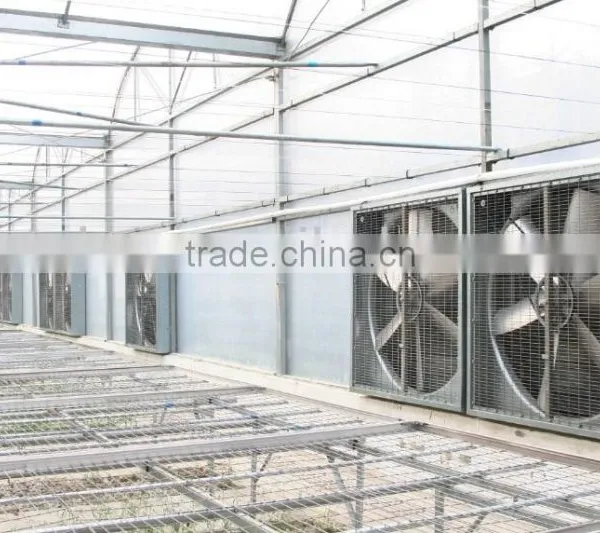 36 Inch Wall Mounted Exhaust Fan Agricultural/industrial/poultry Ventilator in Guangzhou photo-4