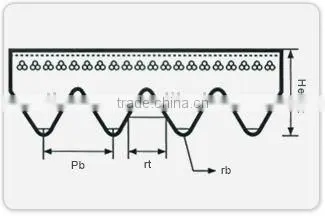 Poly Rib V Belt photo-2