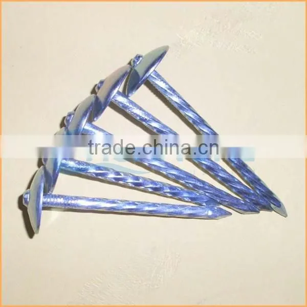 Top Quality eg Hdg Coil Roofing Nails Trusted Chuanghe Suppliers From Com photo-6