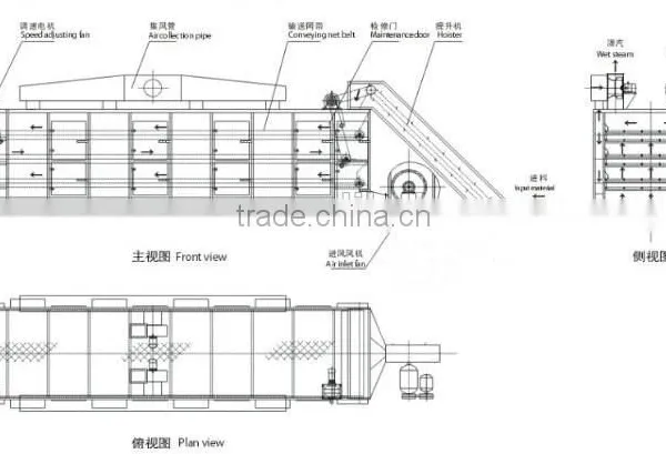 Big Capacity Continuous Hot Air Carrot Slices Cubes Dices Drying Machine Blet Dryer photo-3