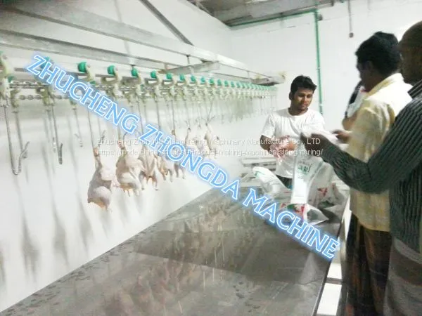Good Quality and Price Chicken Slaughter Machine Line photo-3