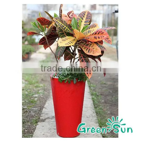 Rectangular Plastic Plant With Water Indicator 100% Similar as Lechuza photo-3