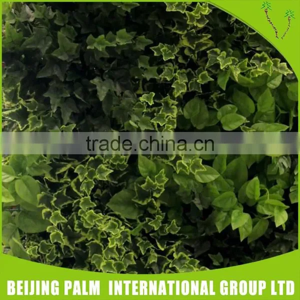 Hot Sale Plastic Artificial Vertical Green Wall For Garden Ornaments photo-4