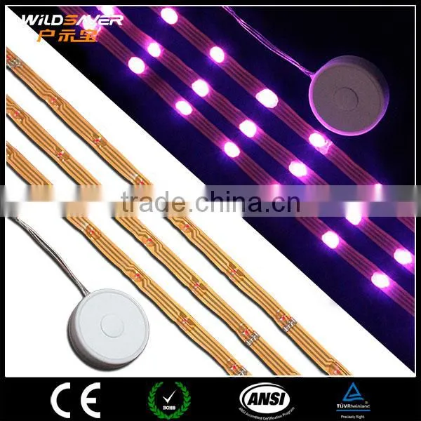 Remote Controlled Battery Operated 5V Flashing Led Strip Light photo-3