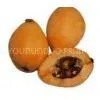 Loquat